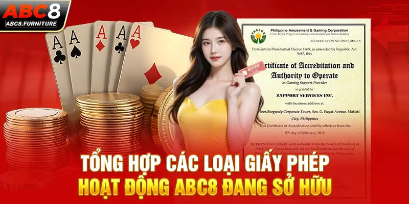Tổng hợp các loại giấy phép hoạt động ABC8 đang sở hữu Tổng hợp các loại giấy phép hoạt động ABC8 đang sở hữu