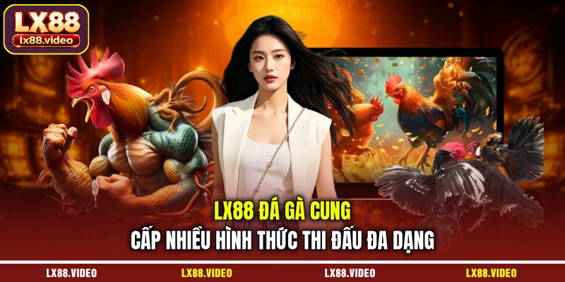 lx88-da-ga-cung-cap-nhieu-hinh-thuc-thi-dau-da-dang