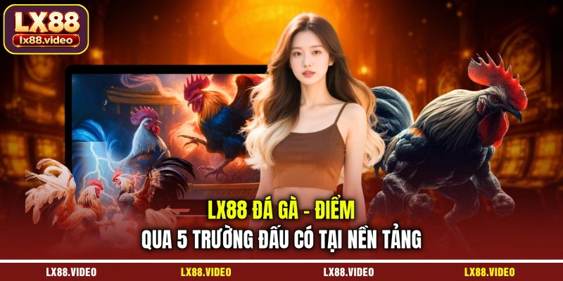 lx88-da-ga-diem-qua-5-truong-dau-co-tai-nen-tang